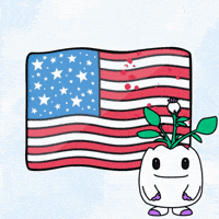 Grilling United States GIF by Magic Eden