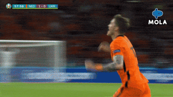 Happy Euro 2020 GIF by MolaTV