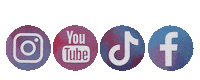 Detijsoutakylidi logo djtl dětijsoutakylidi zdenka sip stankova Sticker