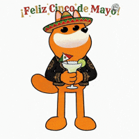Happy Cinco De Mayo GIF by BONK