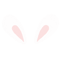 うさぎ くま Sticker