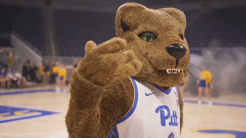 University Of Pittsburgh Mascot GIF by Pitt Panthers