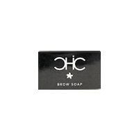 CHICSINCITY brows chic brow soap chicsincity Sticker