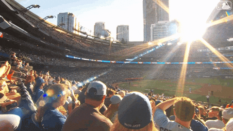 Blue Jays Summer GIF by Toronto Blue Jays