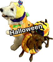 Dog Halloween Sticker