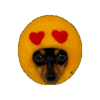Dog Sticker
