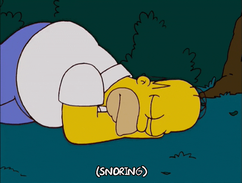 homer simpson GIF