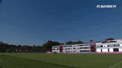 good morning sÃ¤bener straÃe GIF by FC Bayern Munich