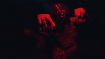 Swae Lee GIF by Rae Sremmurd