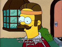 Season 2 GIF by The Simpsons