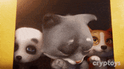 Cryptoys wow shocked shock kitty GIF