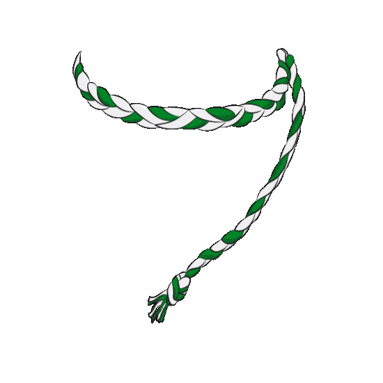 All Ireland Headband Sticker by The GAA - OfficialGAA