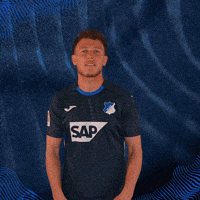 Sport Bundesliga GIF by TSG Hoffenheim
