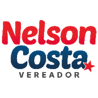 nelsoncosta13133 nelsinho 13133 nelsoncosta13133 nelsoncosta Sticker