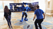 ConnectWise hug owl big hug connectwise GIF