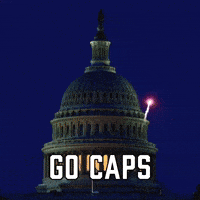 Washington Capitals Sport GIF by Sealed With A GIF