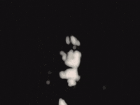 GIF by damn drone