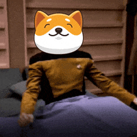 Money Crypto GIF by Baby Doge Coin