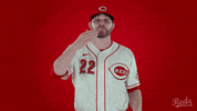 Baseball Mlb GIF by Cincinnati Reds