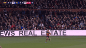 round 15 celebration GIF by Adelaide Crows