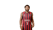 Celebrate Liga Endesa Sticker by ACB