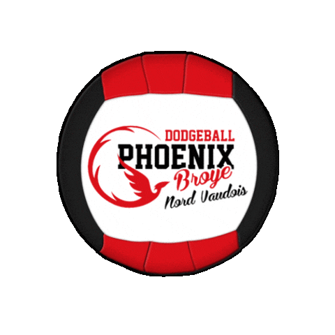 swissdodgeball giphyupload phoenix dodgeball swissdodgeball Sticker