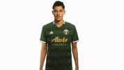 Portland Timbers Var GIF by Timbers