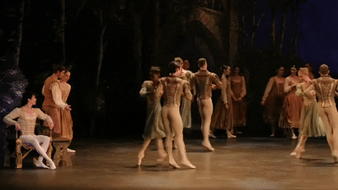 Swanlake GIF by English National Ballet