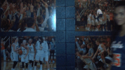 cnwb18 GIF by Carson-Newman Athletics