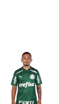 Instagram Smiling Sticker by SE Palmeiras