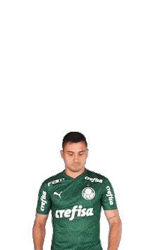 Instagram Insta Sticker by SE Palmeiras