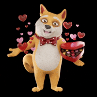 Valentines Day Love GIF by Doge Pound