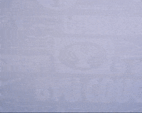 Gymnastics GIF by BYU Cougars
