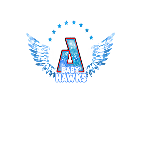 Cheer Cheerleader Sticker by AirbornAllstars