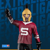 Hockey Spa GIF by Tipsport extraliga