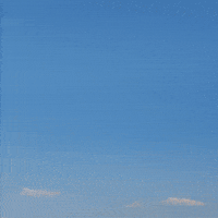 Lama GIF by Fio banka