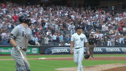 Excited New York Yankees GIF by YES Network
