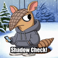 Shadow Armadillo GIF by Chillo Dillo