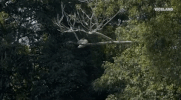 viceland GIF by Earthworks