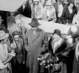 albert einstein GIF