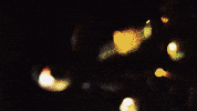 Lucki Jakeosmun GIF by NOFUTURE