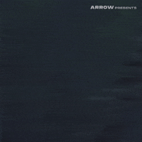 Sergio Martino Film GIF by Arrow Video