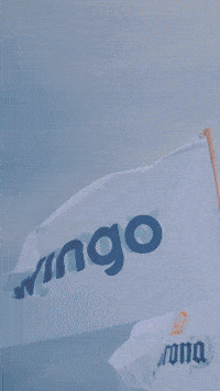 GIF by Wingo