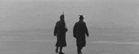 Film Ice GIF