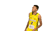 Basketball Basket Sticker by Stade Rochelais