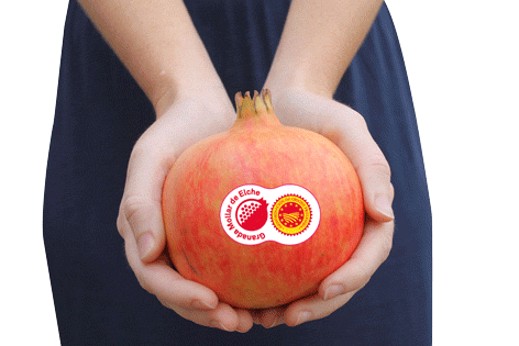 granadasElche giphyupload salud fruta granada Sticker