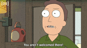 Rick And Morty GIF by Adult Swim