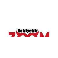 Logo Zoom Sticker by Experix Kurumsal Oto Ekspertiz