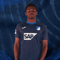 Sport Bundesliga GIF by TSG Hoffenheim