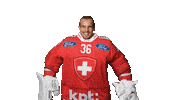 Celebrate Hc Lugano Sticker by Swiss Ice Hockey